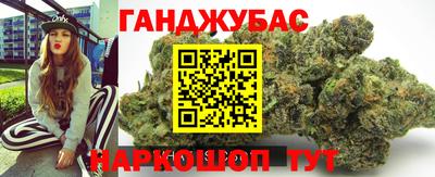 крисы Обь