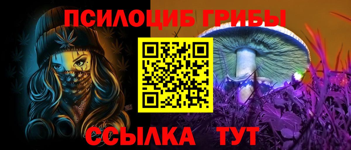 Галлюциногенные грибы мухоморы Советская Гавань